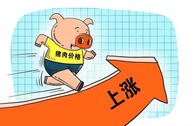 猪肉大涨大跌 猪企开始给猪减肥了猪肉市场风云变幻，猪企为应对大涨大跌采取减肥策略